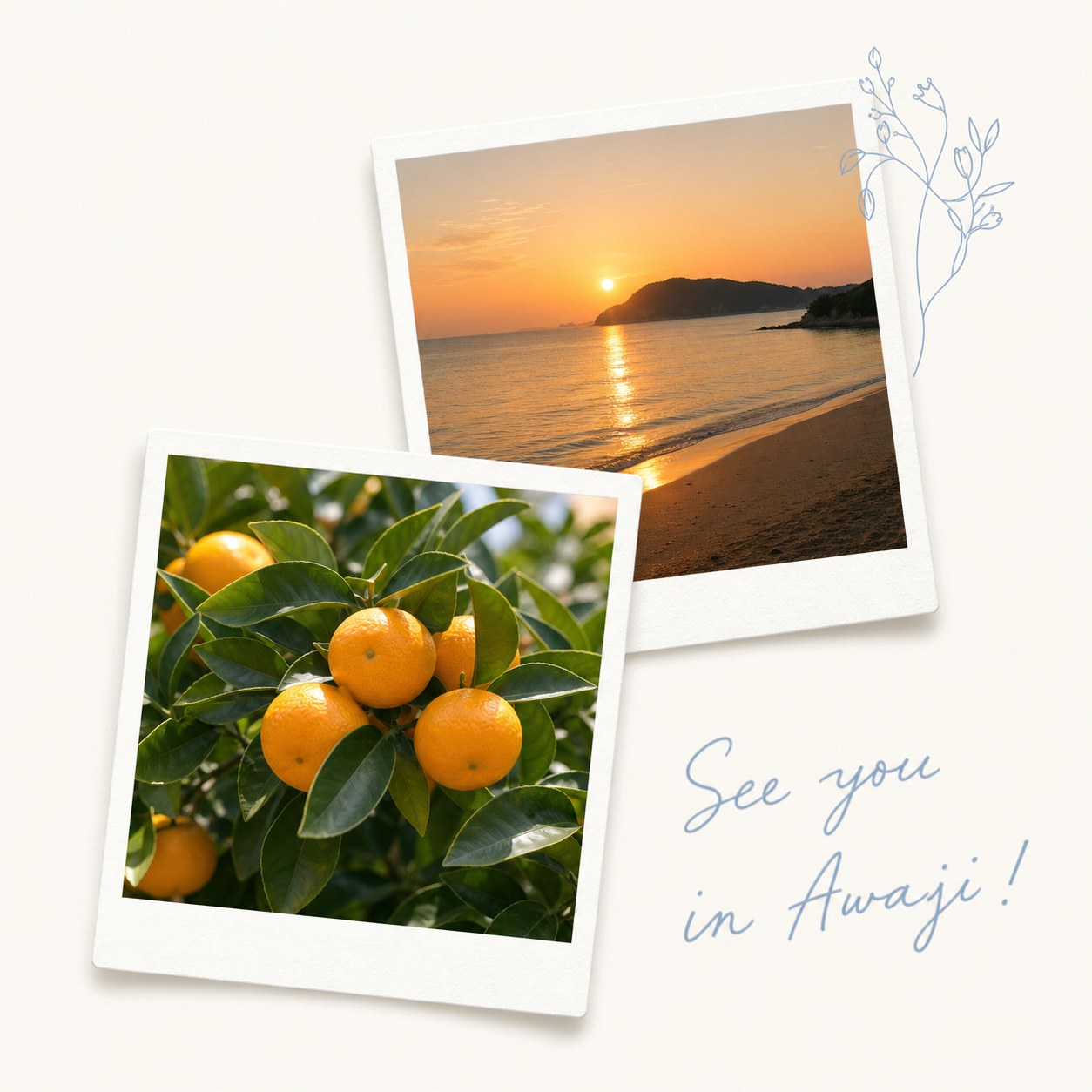 淡路島の夕日とみかんの写真。See you in Awaji!